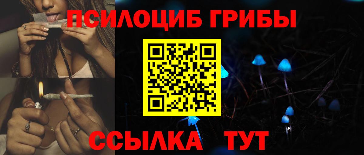 Галлюциногенные грибы мухоморы  Псилоцибиновые грибы Psilocybine cubensis  Вход с VPN  Энгельс 
